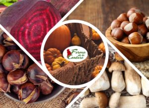 Cuisiner les volailles avec les récoltes d’automne