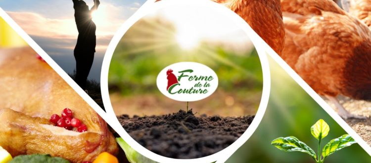 Bien commencer l’année avec des plats sains et réconfortants