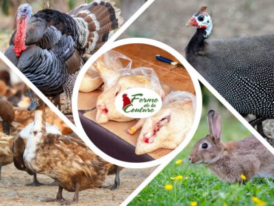 Comment choisir ses volailles et produits de saison à la rentrée ?