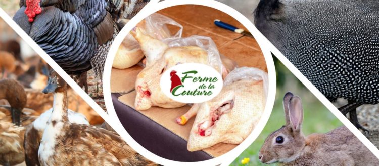 Comment choisir ses volailles et produits de saison à la rentrée ?
