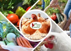 Les volailles et les légumes d’été : un mariage parfait