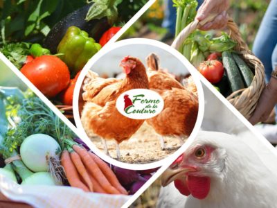 Les volailles et les légumes d’été : un mariage parfait