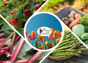 Pourquoi privilégier les produits de saison au printemps