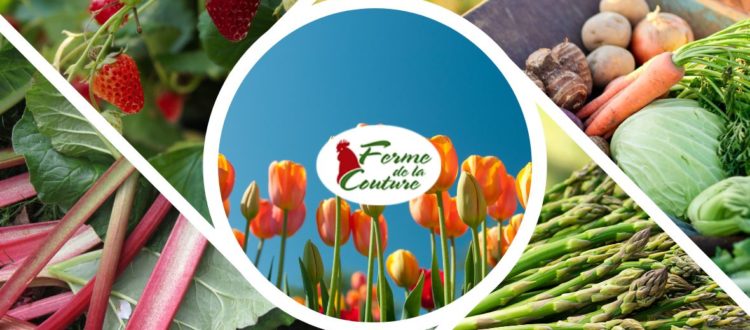 Pourquoi privilégier les produits de saison au printemps