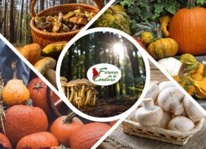 Les bienfaits de cuisiner avec les récoltes d’automne