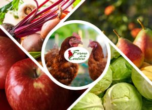 Pourquoi choisir des produits locaux en hiver ?