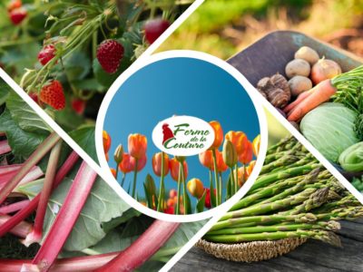 Pourquoi privilégier les produits de saison au printemps