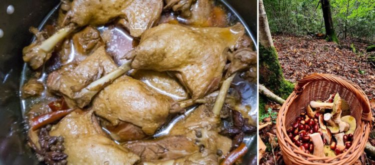 Canard aux champignons et châtaignes