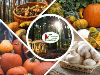 Les bienfaits de cuisiner avec les récoltes d’automne
